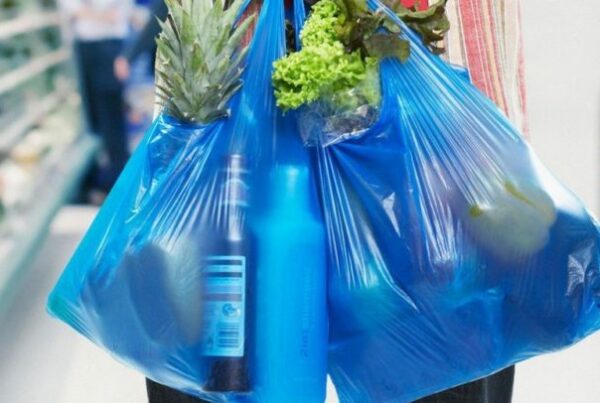 El IVA y la compra de bolsas de plástico en supermercado Odio fraternal